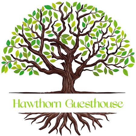 Апартаменты Hawtհorn Guestհouse Кембридж Экстерьер фото