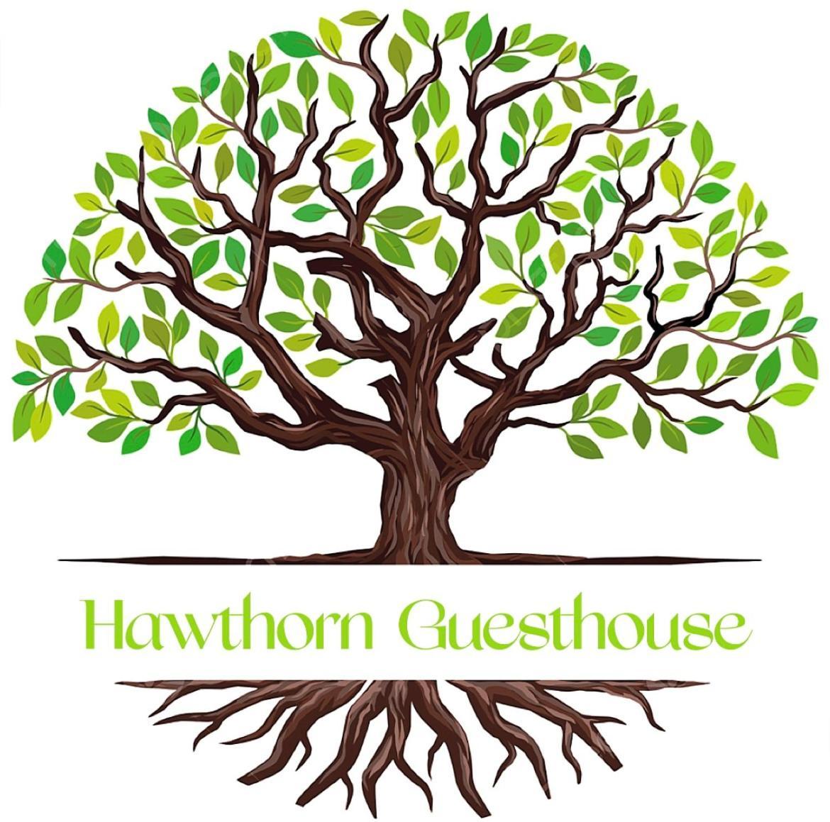 Апартаменты Hawtհorn Guestհouse Кембридж Экстерьер фото